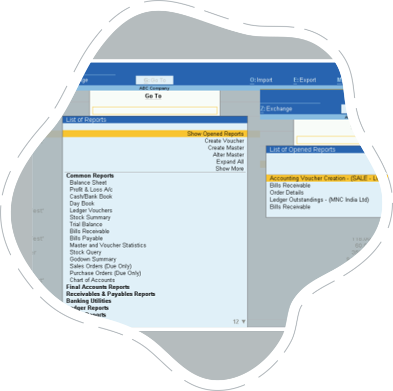 VAT Enabled Tally Software Oman